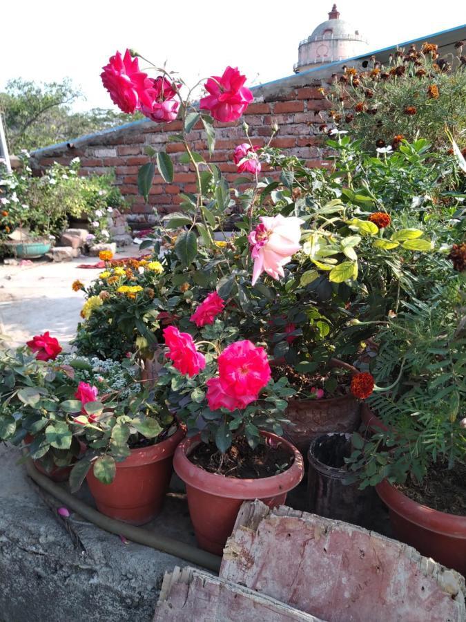 Hotel Devdoot Rajgir Bagian luar foto
