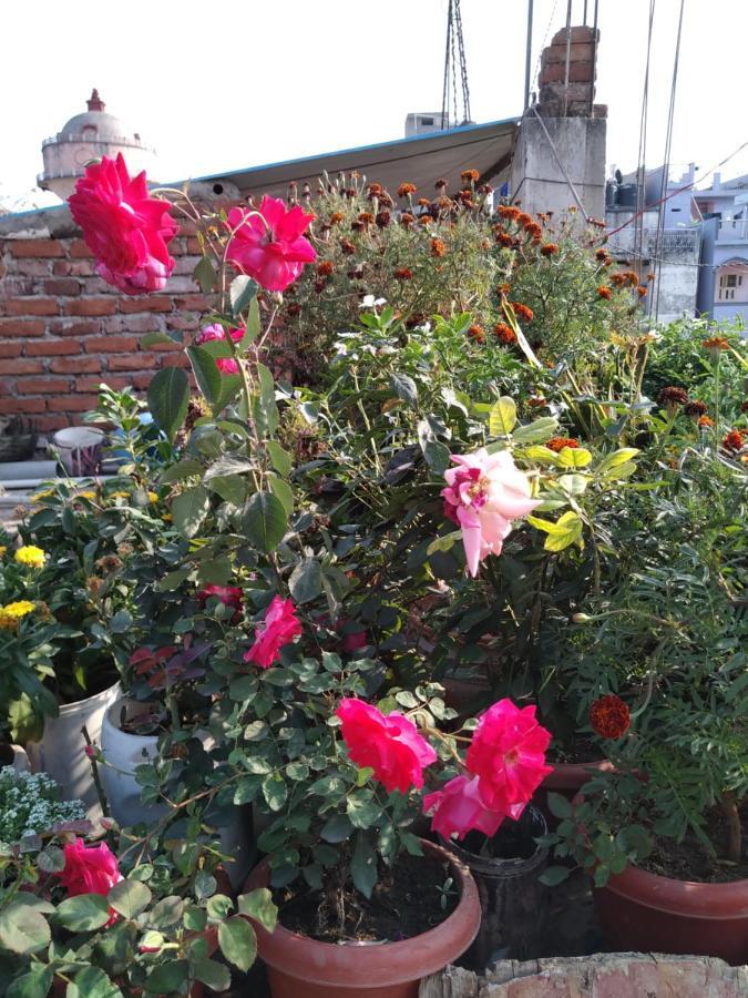 Hotel Devdoot Rajgir Bagian luar foto